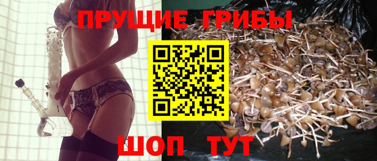 Псилоцибиновые грибы мухоморы  Вход с VPN  Курчалой  Галлюциногенные грибы MAGIC MUSHROOMS 